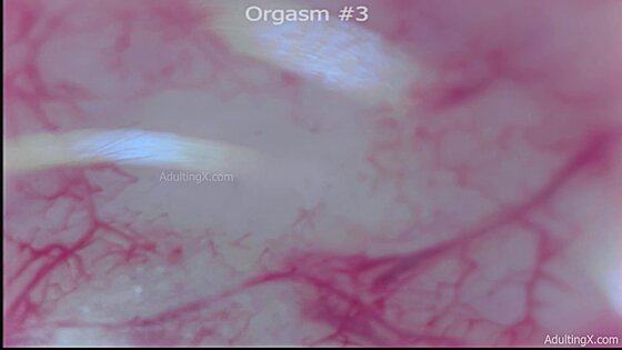 Climax Compilation cum shots close up compilation