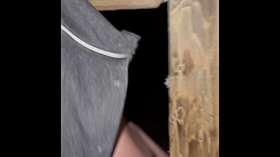 object insertion humping sunporno penis till cum
