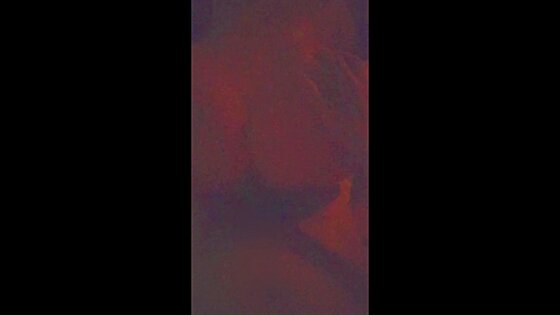real couple homemade japanese ixxx porn bold xxxx