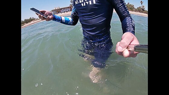 gay sexy dick va surfer gay sex