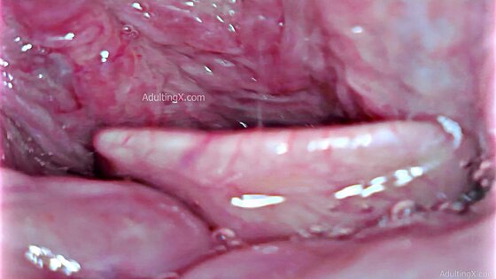 swallow vore sexvid