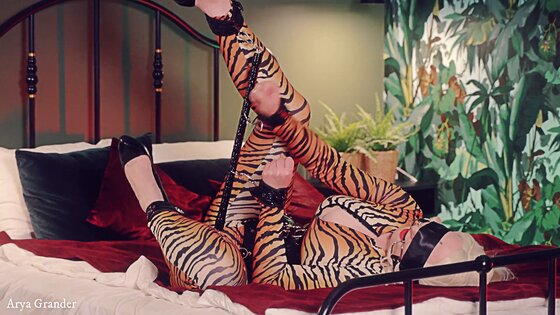 big ass xxx videos milf latex porn